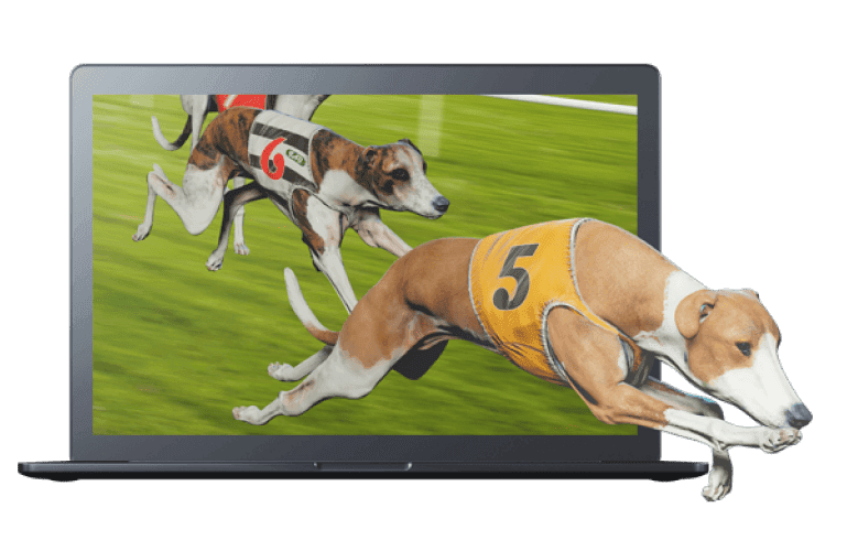 Professional gaming platform interface and technology infrastructure